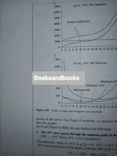 Essential Mathematics For Economics And Business - Teresa Bradley And Paul Patton - Second Edition.