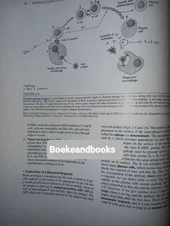 Foundations Of Parasitology - Larry S Roberts - John Janovy Jr - Fifth Edition.