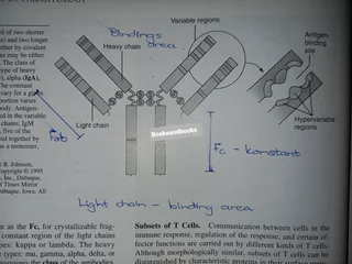 Foundations Of Parasitology - Larry S Roberts - John Janovy Jr - Fifth Edition.