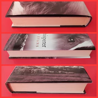 The Horse Whisperer - Nicholas Evans.