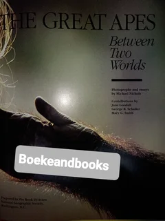 The Great Apes - Between Two Worlds - National Geographic Society.