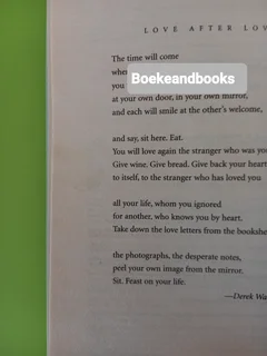 The Time Traveler&#39;s Wife - Audrey Niffenegger.