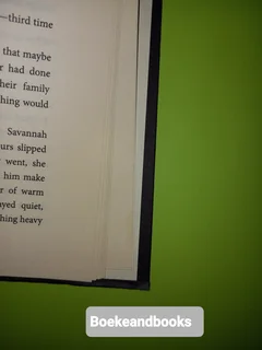 The Bridge - Karen Kingsbury - Includes The Beginning Prequel.