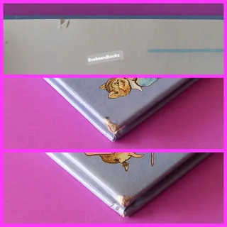 The Tale Of Peter Rabbit - Frederick Warne - Beatrix Potter.