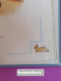 The Tale Of Peter Rabbit - Frederick Warne - Beatrix Potter.