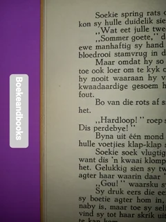 Soekie En Die Tweeling - Ela Spence - Soekie Reeks.