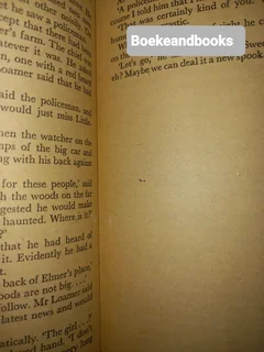 The Tramp - Edgar Wallace.