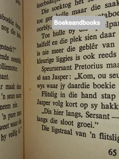 Jasper Die Speurder - CF Beyers-Boshoff - Jasper Reeks Boek 4.