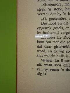 Jasper Die Speurder - CF Beyers-Boshoff - Jasper Reeks Boek 4.