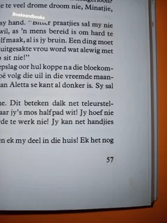 Die Verdwyning Van Mina Afrika - Zuretha Roos.