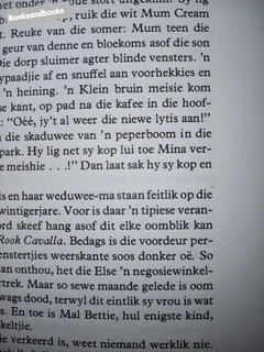 Die Verdwyning Van Mina Afrika - Zuretha Roos.