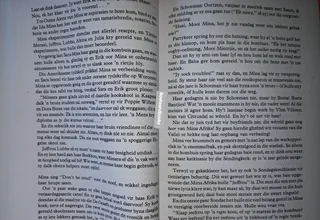 Die Verdwyning Van Mina Afrika - Zuretha Roos.