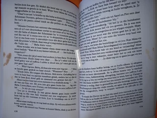 Die Verdwyning Van Mina Afrika - Zuretha Roos.