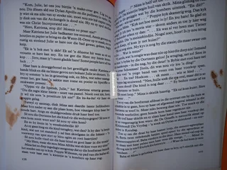 Die Verdwyning Van Mina Afrika - Zuretha Roos.