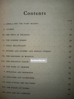 Celtic Fairy Tales - Collected By Joseph Jacobs.