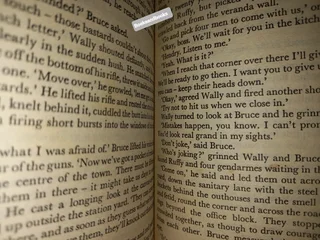 The Dark Of The Sun - Wilbur Smith.