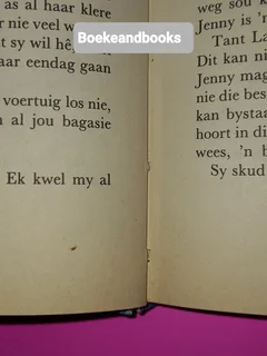 Uitgeknip Vir Mekaar - Lize Swart.