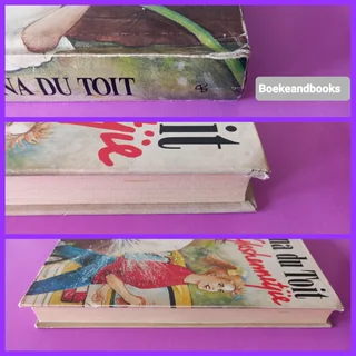 Die Glashennetjie - Tryna Du Toit - GROOTDRUK.