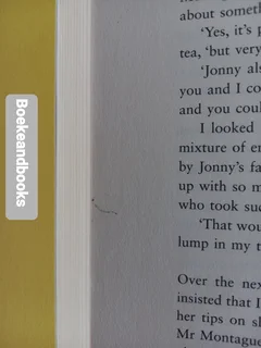 The Butterfly Room - Lucinda Riley.