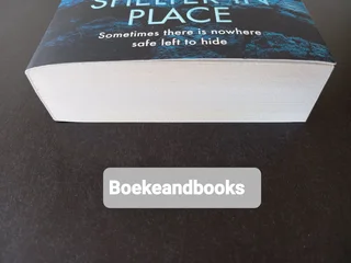 Shelter In Place - Nora Roberts.