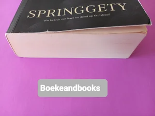 Springgety - Chanette Paul - Gys Niemand Reeks #1.