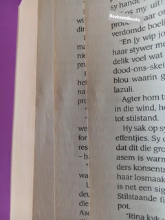 Springgety - Chanette Paul - Gys Niemand Reeks #1.