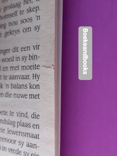 Pad Vol Dubbeltjies - Madelie Human - Romanza - Romantiese Komedie.