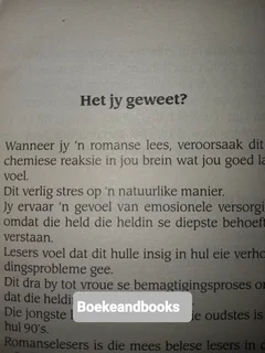 Net Een Soen - Dina Botha - Romanza.