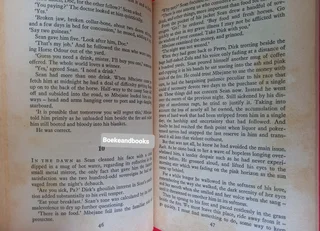 The Sound Of Thunder - Wilbur Smith - Courtney #2.