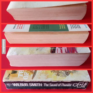 The Sound Of Thunder - Wilbur Smith - Courtney #2.