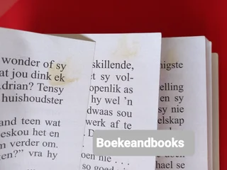 Sy Inwonende Minnares - Maggie Cox - Mills &amp; Boon - Afrikaans.