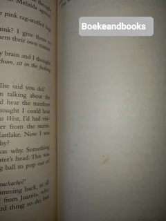 Duma Key - Stephen King.