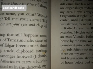 Duma Key - Stephen King.