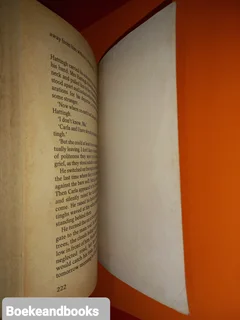 Promised Land - Karel Schoeman.