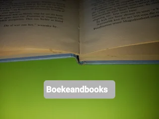 Vier Mans En N Hartedief - Nita Griessel.