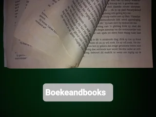 Fortuin - Chanette Paul.