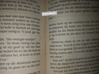 Fortuin - Chanette Paul.