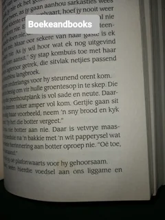 Fortuin - Chanette Paul.