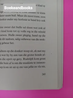 Bessie Se Hangkasbiblioteek - Madelein Rust.