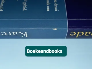 Ingrypende Genade - Karen Kingsbury.