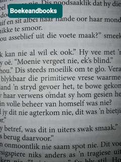 DIE BRUNELLI-SKIKKING: N BABA - KIM LAWRENCE - MILLS &amp; BOON - MODERN - AFRIKAANS.