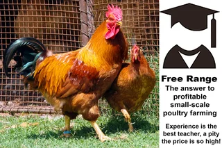 Poultry Courses for Small-Scale Farmers