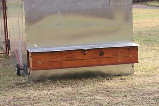 Koekoek Ready-to-Lay Chickens