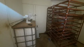 Chick Hatching Service