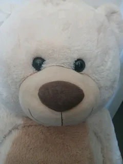 Big bear soft toy