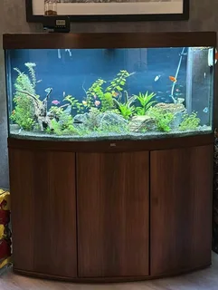 Fish tank