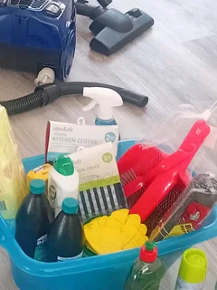MY CLEANING SERVICES
