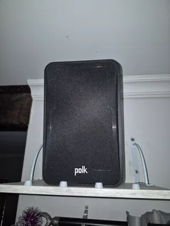 Polk ES-15 (2 months old)