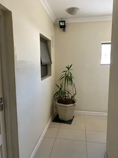 Apartment to Rent