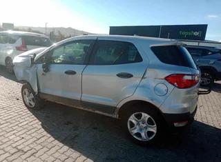 2017 Ford Ecosport 1.5 4 cylinder striping